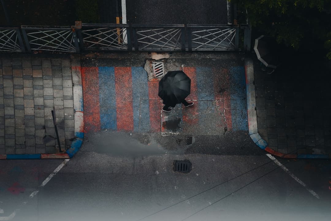 暑期“旅行专列”，让远方有景更有诗意